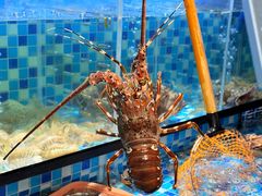 -吾家传承·橄榄妹大排档(陈家祠店)