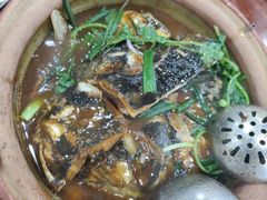 -华仔土鸡店(南洲分店)