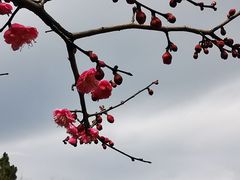 -杭州六谷生态休闲农庄有限公司