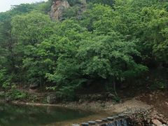 -大连天门山国家森林公园