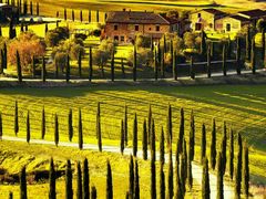 -中影星美国际影城(犀浦百伦店)