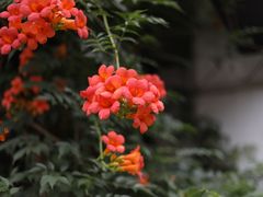 -仓桥直街