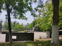-月湖风景区