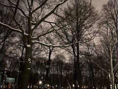 -滴血救世主教堂