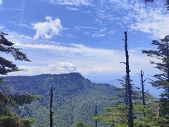 -瓦屋山景区