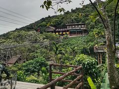 -海南槟榔谷黎苗文化旅游区