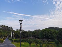 -立新湖公园