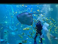 -太平洋海底世界