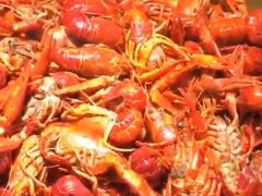 -泰谷酒店·太古码头闽菜自助餐厅