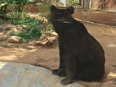 -昆明动物园