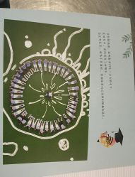 -邦叔叔.亲子全家福毕业照跟拍摄影(嘉定店)