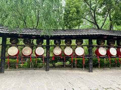 -合肥滨湖国家森林公园