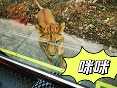 -西安秦岭野生动物园