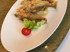 -上海总会SHANGHAICLUB(兴业太古汇店)