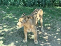 -北京野生动物园