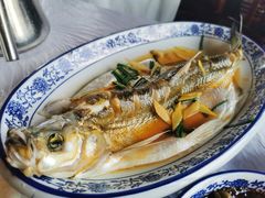 清蒸白水鱼-洞天食府(北大街店)