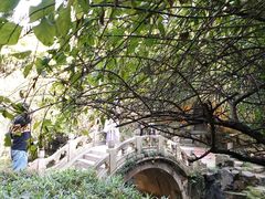 -北寺塔