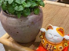 -泰菩提树下·泰式按摩SPA(沙坡尾店)