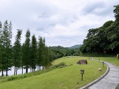 -国恩寺