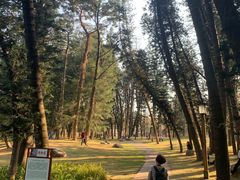 -华南国家植物园-售票处