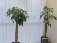 -悦园影院式·足道·养生spa