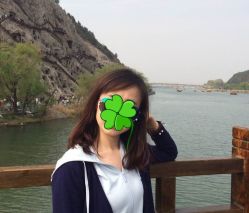 -大象造型