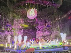 -灵玲国际马戏城