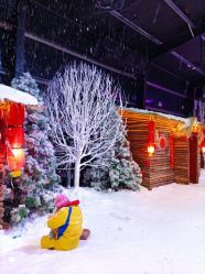-圣名游乐城冰雪大世界