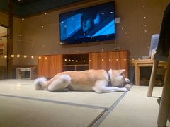 -大江户·温泉洗浴(浑南店)
