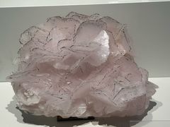 -重庆自然博物馆(新馆)