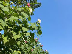 -长沙滨江文化园