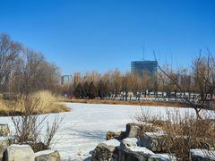 -大兴滨河森林公园