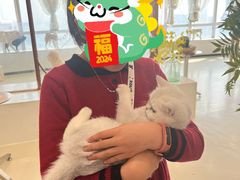 -共舞时光猫咖·狗咖(新街口店)