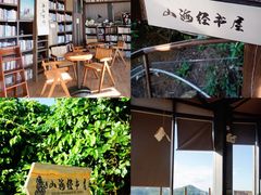 -东澳岛