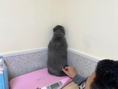 -谐和贝康宠物医院24小时·宠保定点(急重症转诊中心)