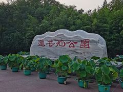 -莲花池公园