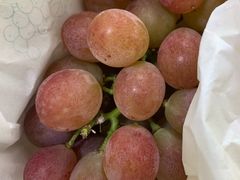 -马陆小张葡萄园农家乐