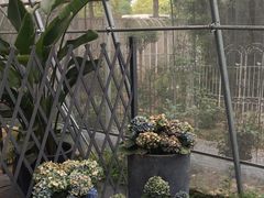 -嘉北郊野公园
