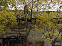 -龙潭水乡