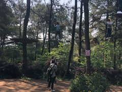 -铁山坪森林公园