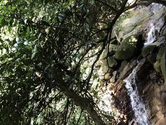 -火炉山森林公园