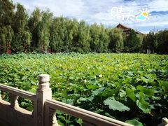 -大明幻境第一城