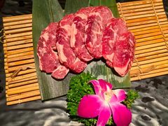 -杨小佳·齐齐哈尔烤肉·烤串(广州店)