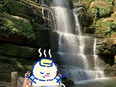 -碧峰峡风景区