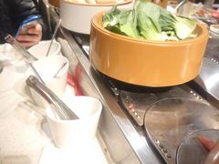 -龍歌自助小火锅(崂山丽达店)