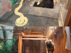 -上海大自然野生昆虫馆(东方明珠·爬宠昆虫探索中心)