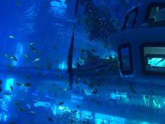 -成都浩海立方海洋公园