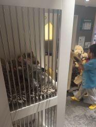 -奈尔宝家庭中心·亲子餐厅(华采天地店)