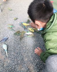 -萌宠亲子动物乐园(槐房万达店)