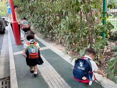 -玛利娅蒙特梭利双语幼儿园·托育(百家湖直营园)